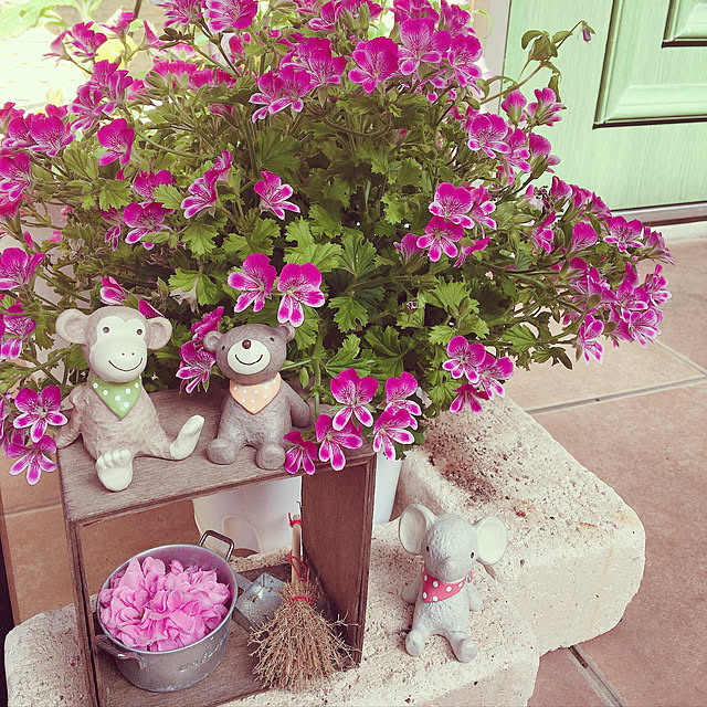 y---iさんの実例写真