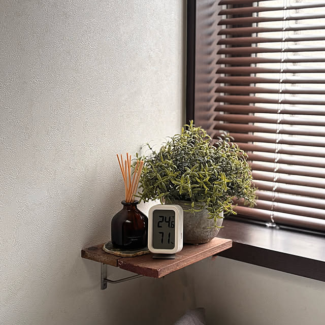 greycatsさんの部屋