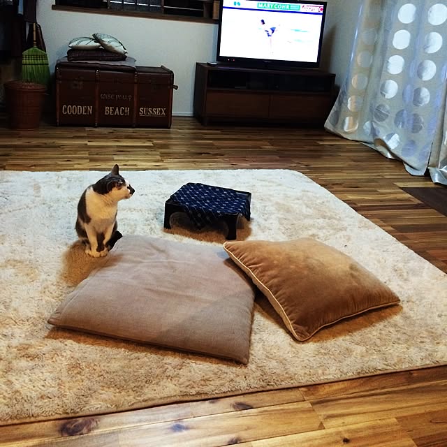 yaeさんの実例写真
