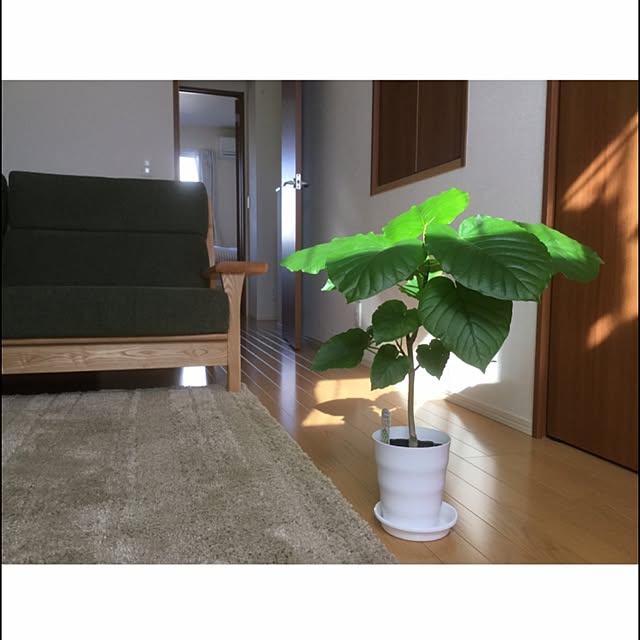 horicoさんの実例写真