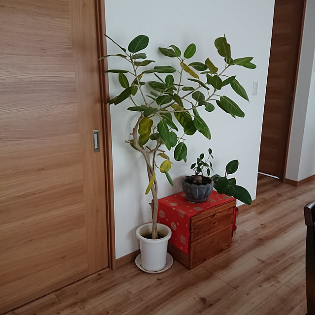 kotaroさんの実例写真