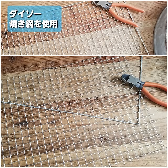 CYNOSさんの部屋