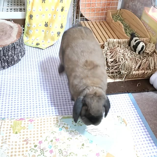 mariaさんの部屋