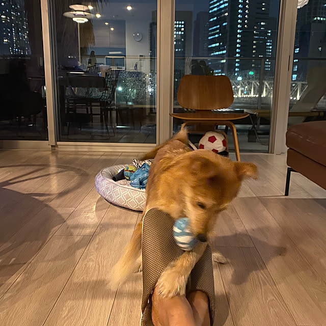 Yoheiさんの実例写真