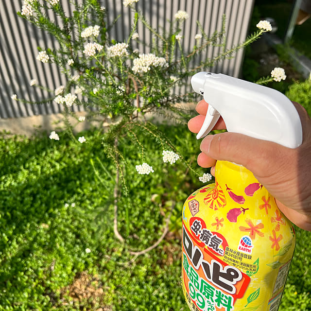 fxs-rrさんの実例写真
