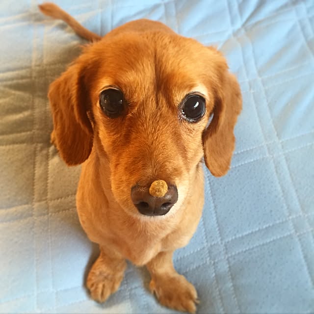 sakuさんの実例写真
