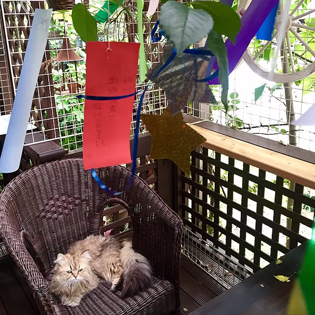 butachanさんの実例写真