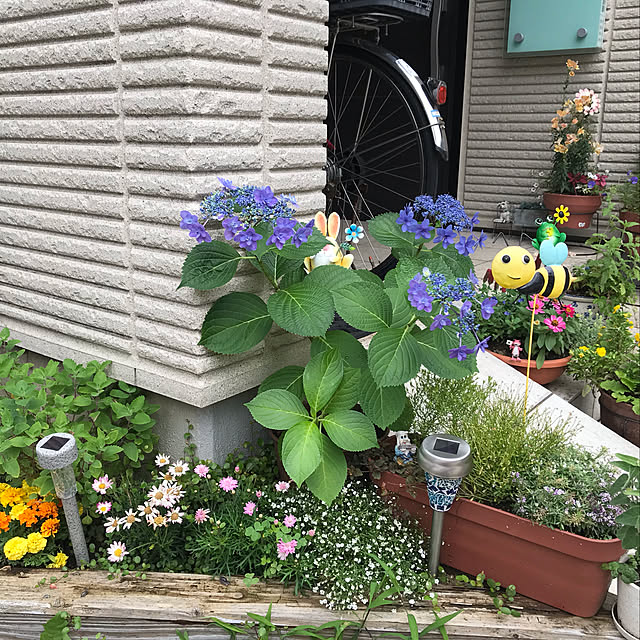 makiさんの実例写真