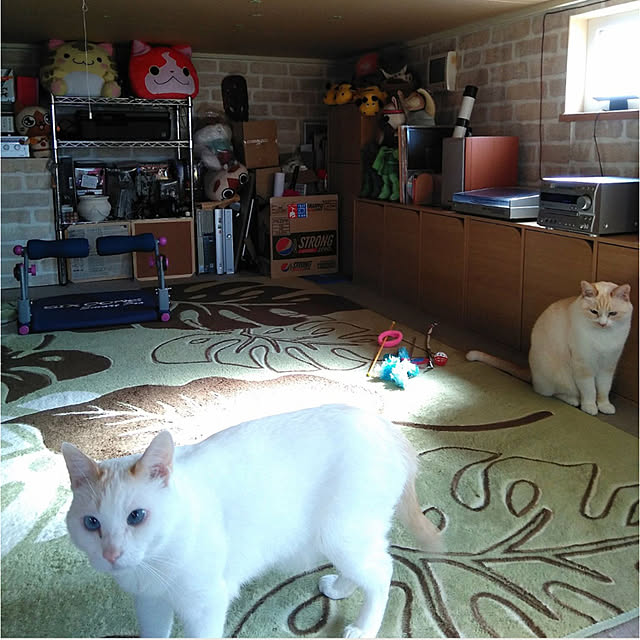 posauruさんの部屋