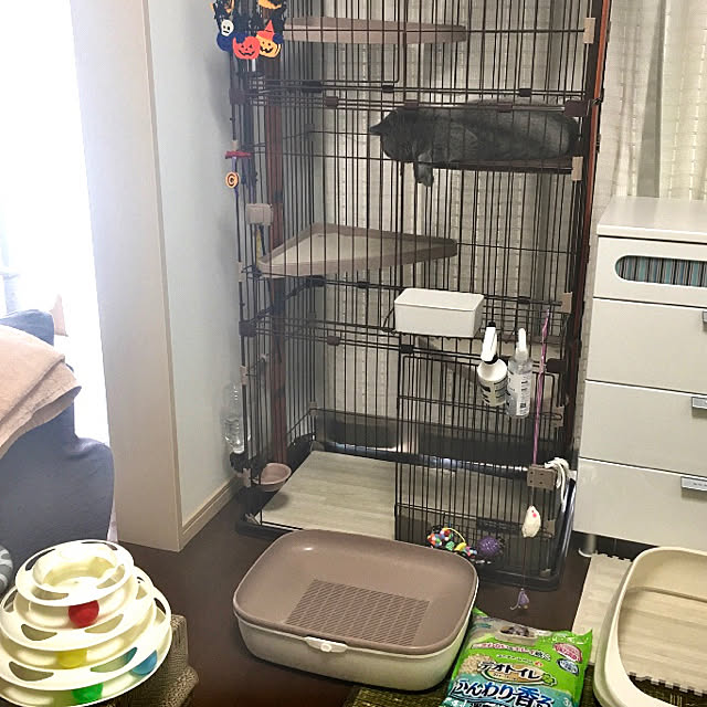 kittyさんの実例写真