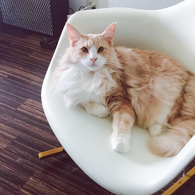 Yusukeさんの実例写真