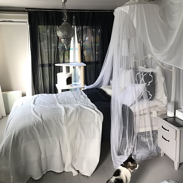 Shihoさんの実例写真