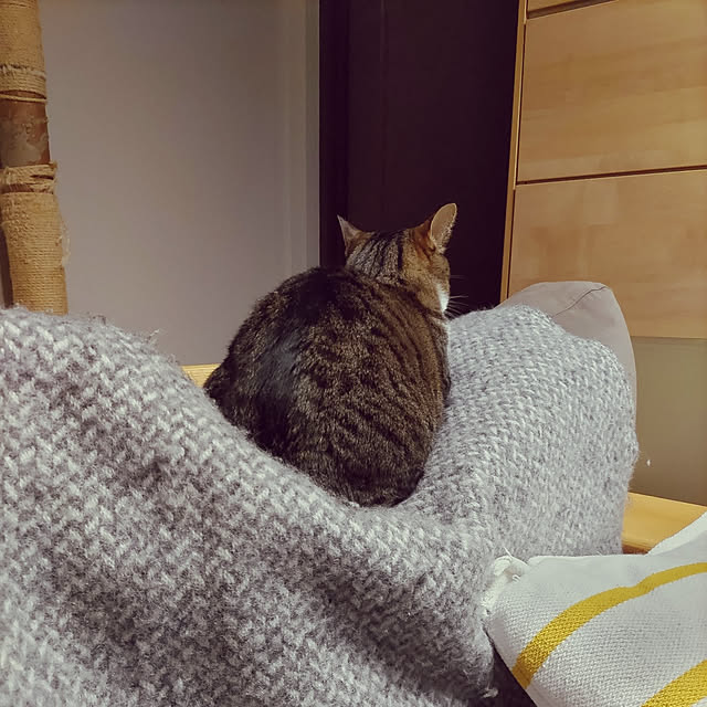 hanacocoさんの実例写真