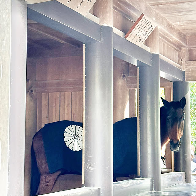Re_さんの部屋