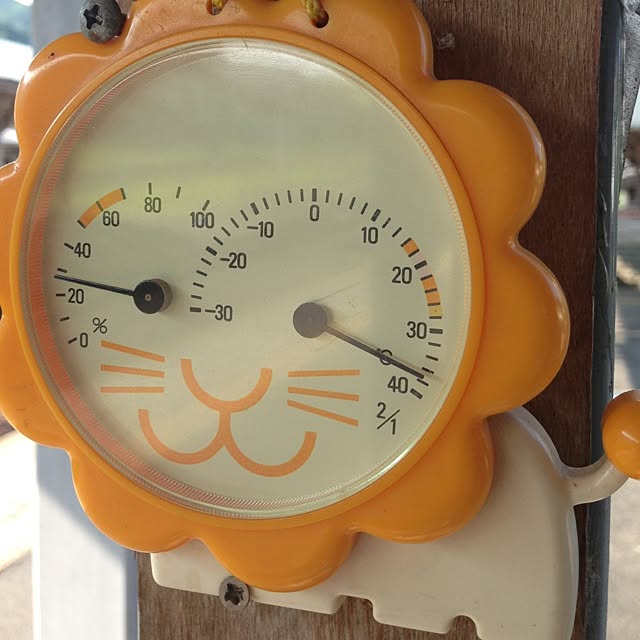 Gooさんの実例写真