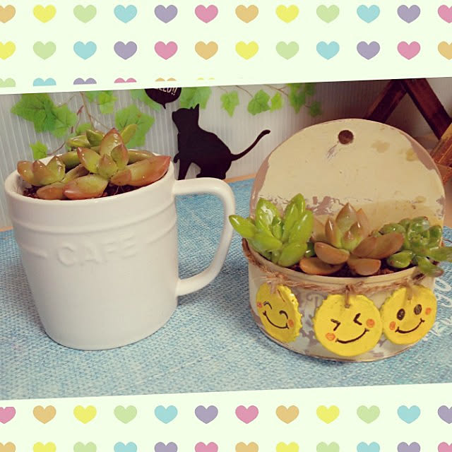 mocomocoさんの実例写真