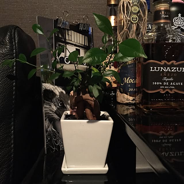 Ryojiさんの実例写真