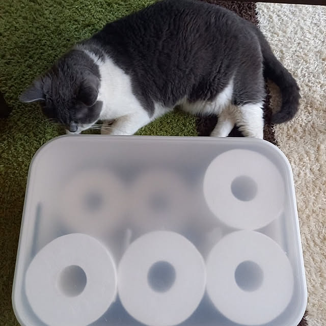 rhuさんの実例写真