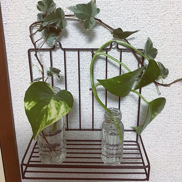 yomiyomiさんの実例写真