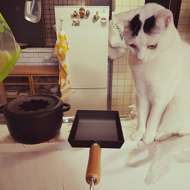 yukieさんの実例写真