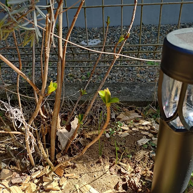 urchinさんの部屋