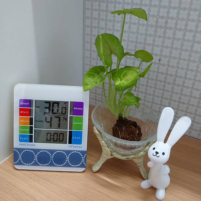 makotomosukeさんの実例写真