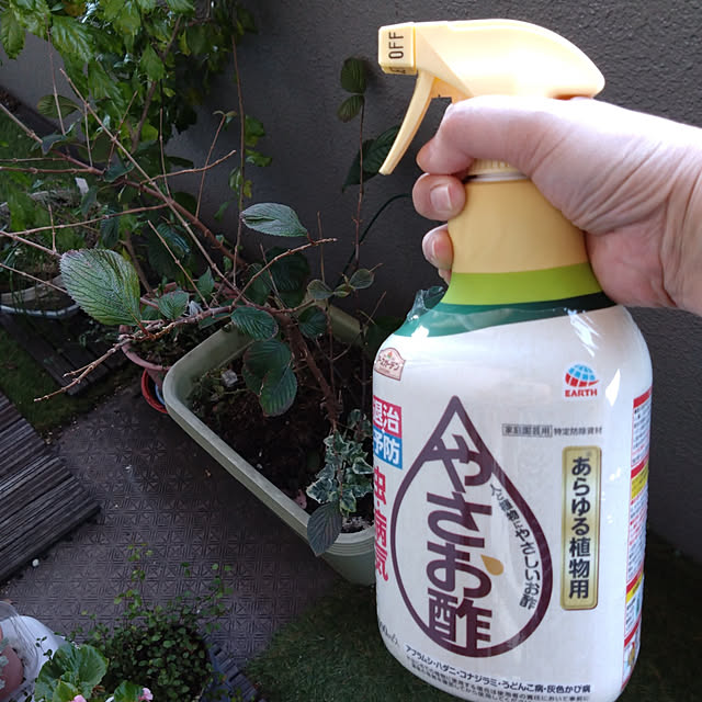 kakkaさんの実例写真