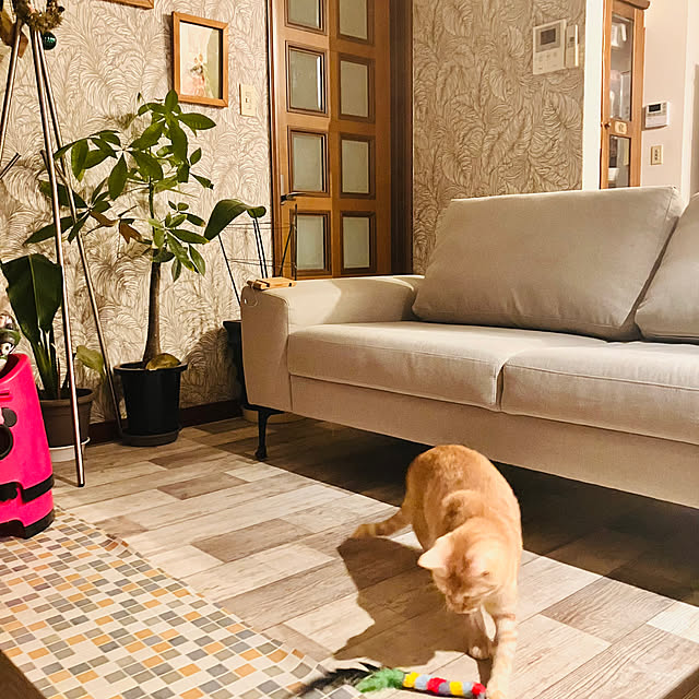 tomorinさんの部屋