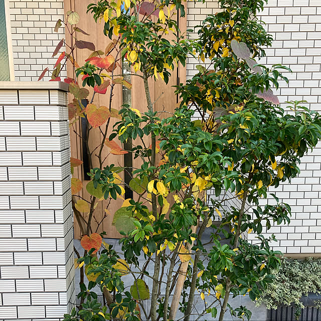 umingt330さんの実例写真