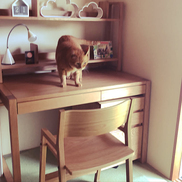 catさんの実例写真