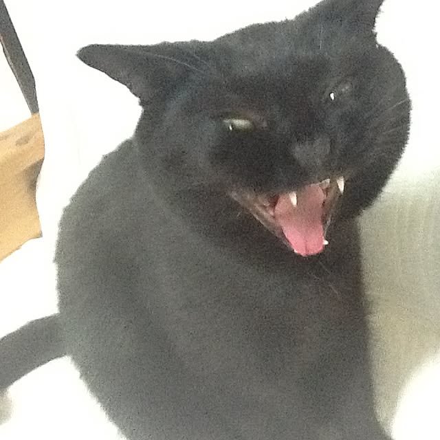 chadoさんの実例写真