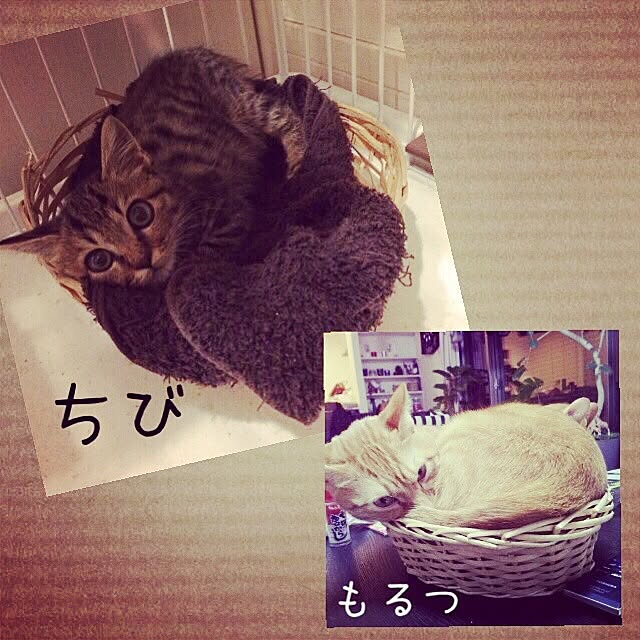 Minamiさんの実例写真