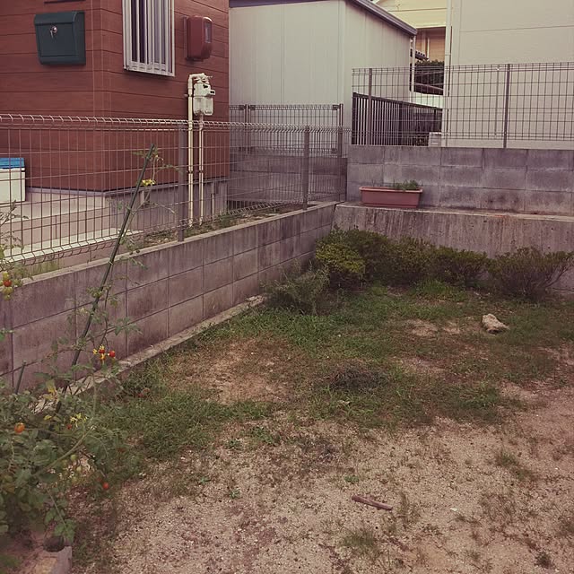 memimoさんの実例写真