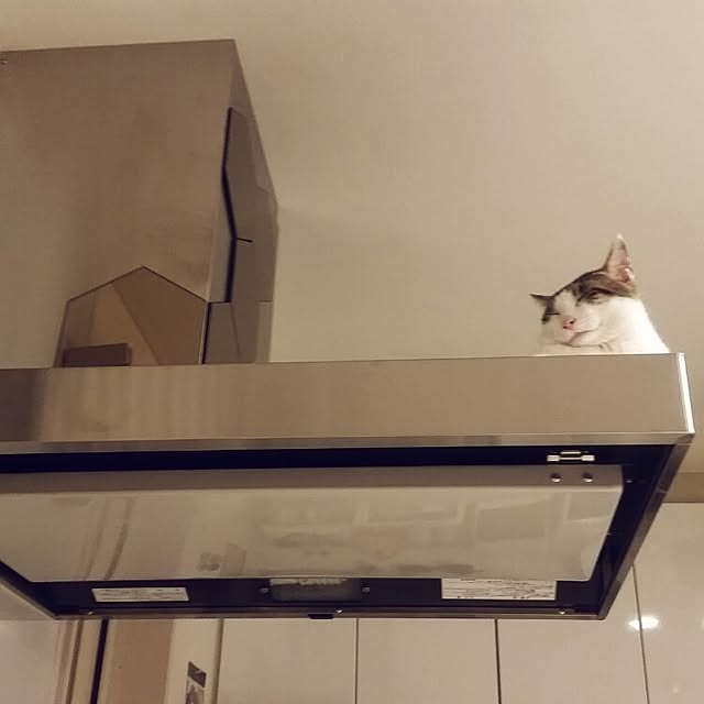 runayucoさんの実例写真
