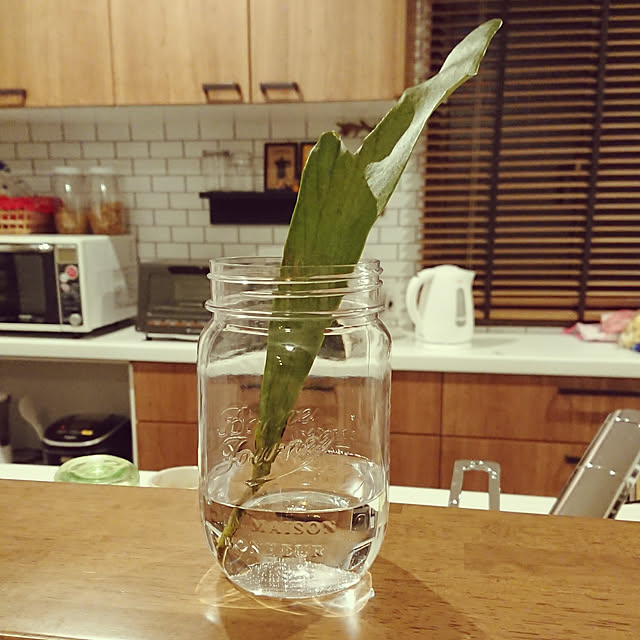saeさんの実例写真