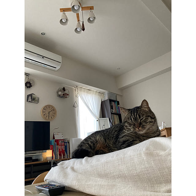nocomomさんの実例写真