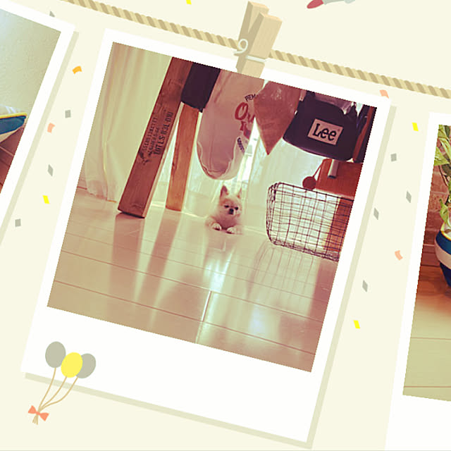 konomi513さんの実例写真