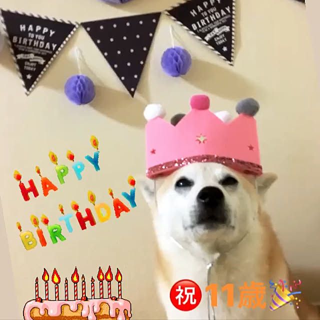 chaneriさんの実例写真