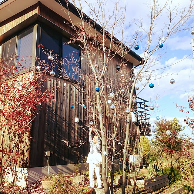 asm27さんの実例写真