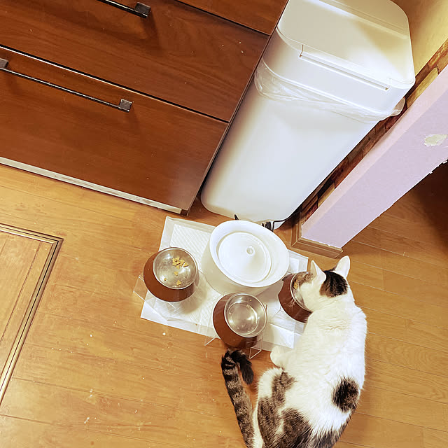 ikuekuekueさんの実例写真