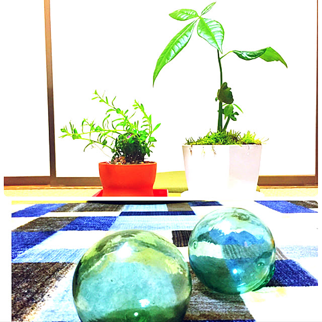 koyuriさんの実例写真