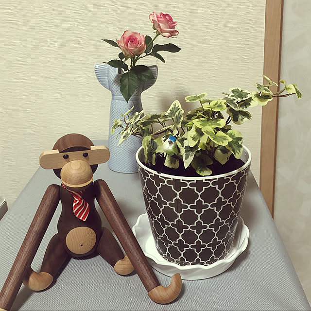 katuさんの実例写真