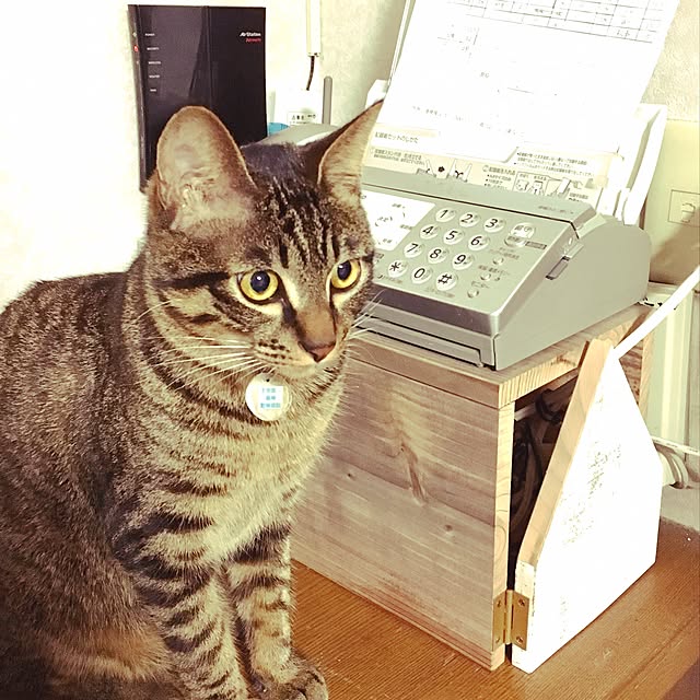 Norikoさんの実例写真