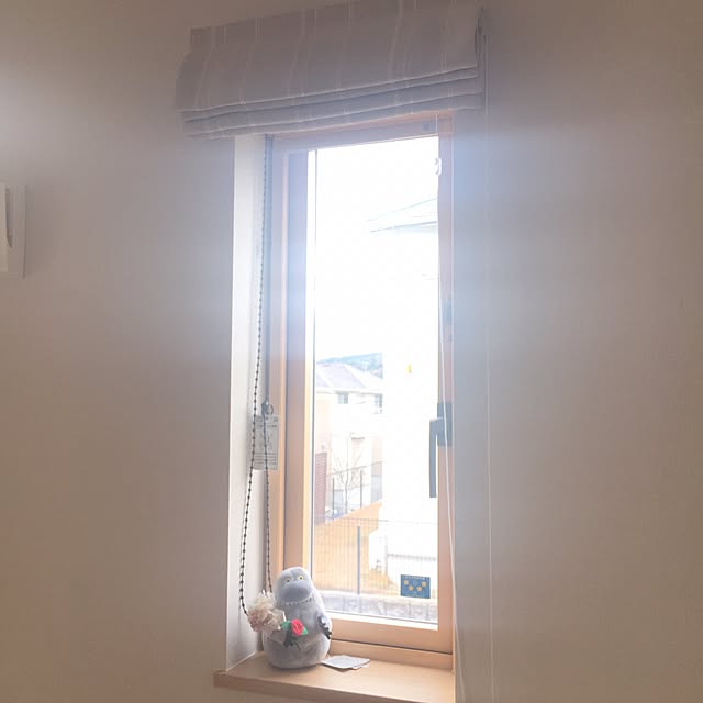 Momoさんの実例写真