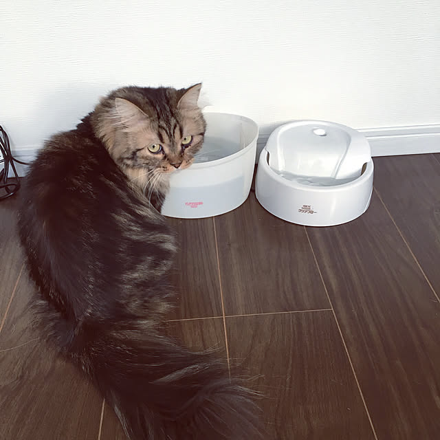 takiさんの実例写真