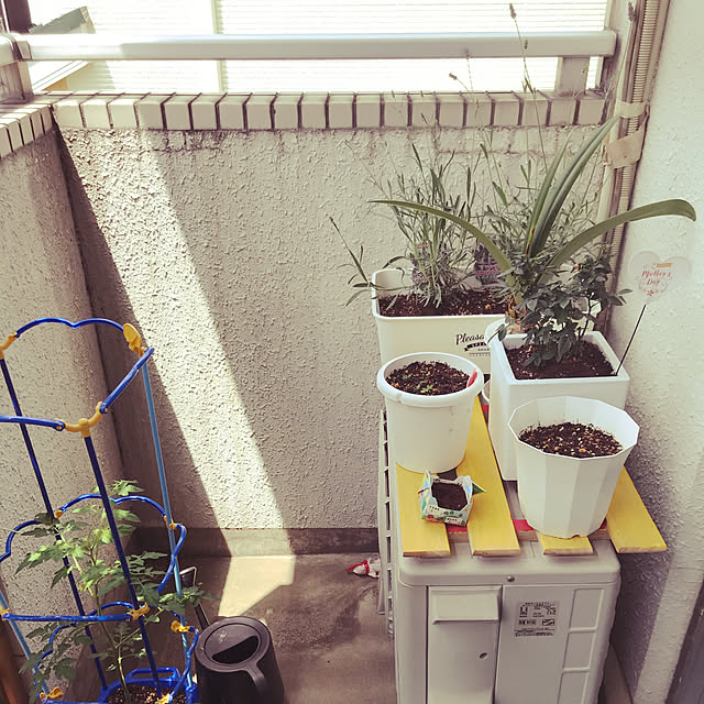 棚のインテリア実例 - 2020-05-30 09:59:49