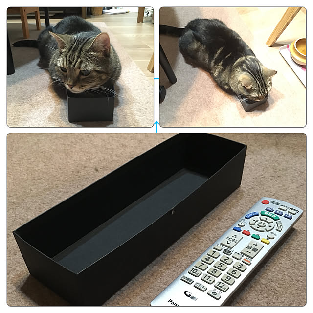 mikomaruさんの実例写真