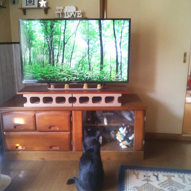Tomopさんの実例写真