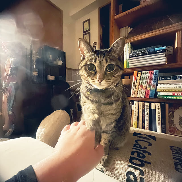Mさんの部屋