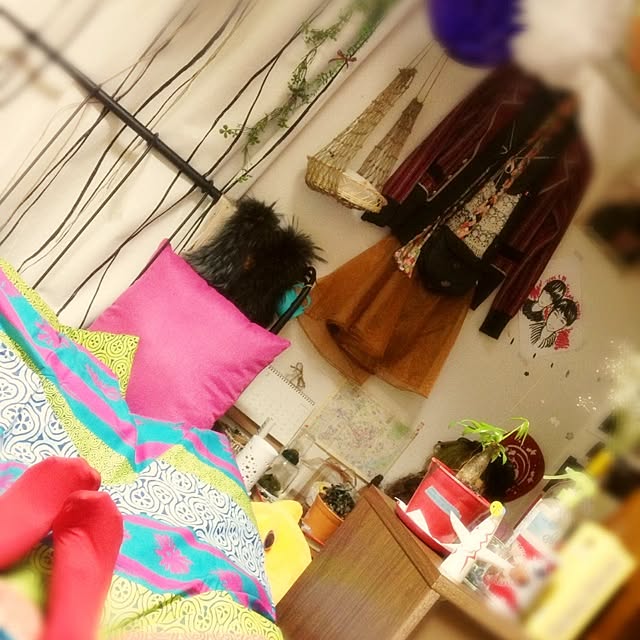 sacさんの実例写真